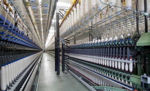 今年工業(yè)大麻真的火了,分享一份漢麻融資商業(yè)計劃書范文