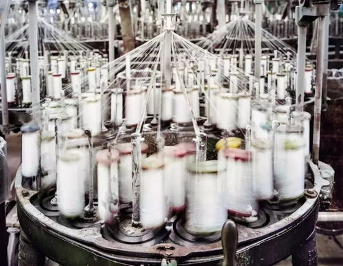 在這家紗線廠,可以看到美國紡織業的現狀